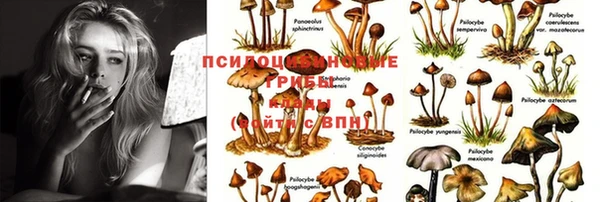 меф VHQ Дмитриев